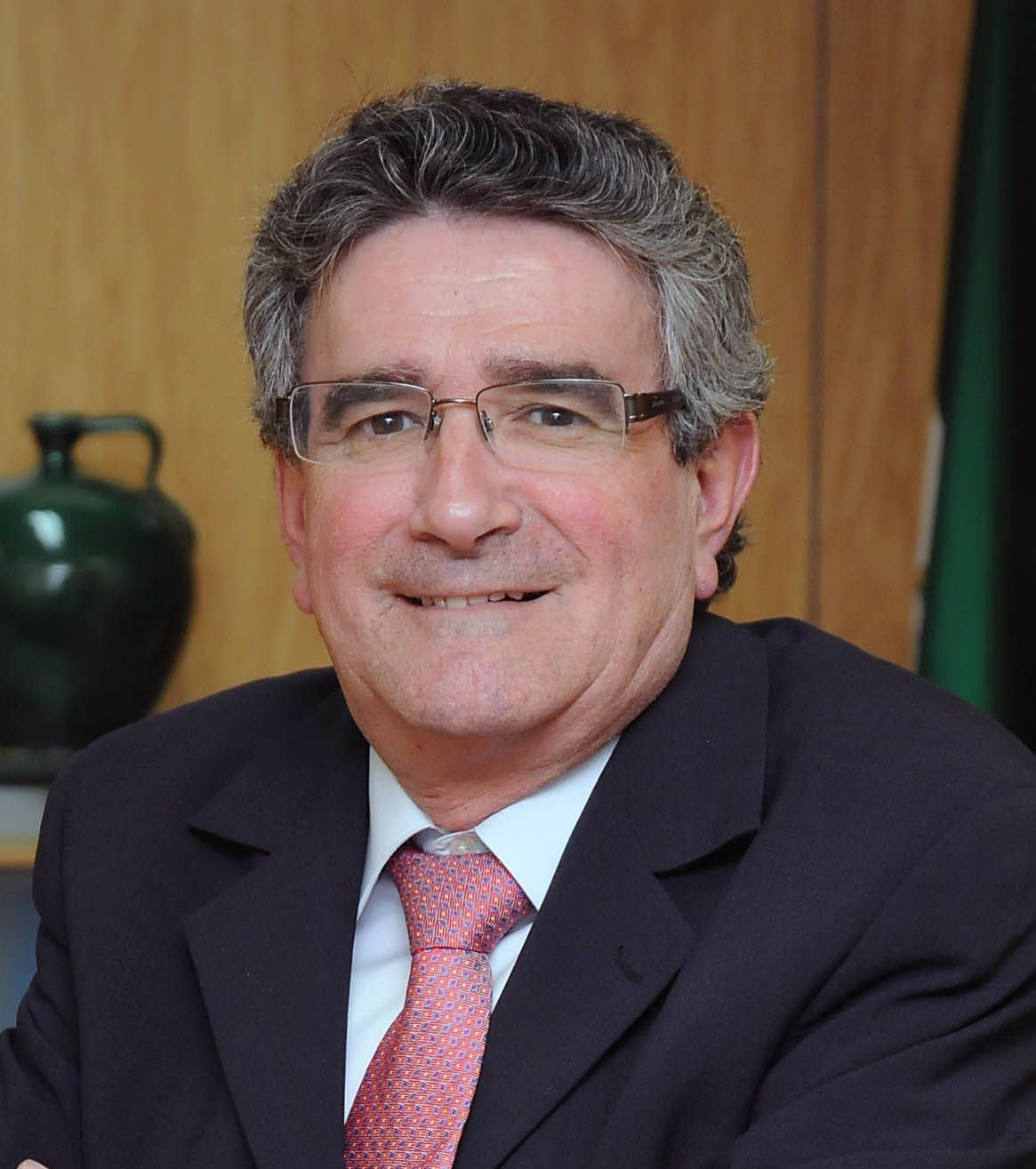 Luis Pizarro, Consejero de Gobernación de la Junta de Andalucía